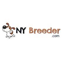 NY Breeder